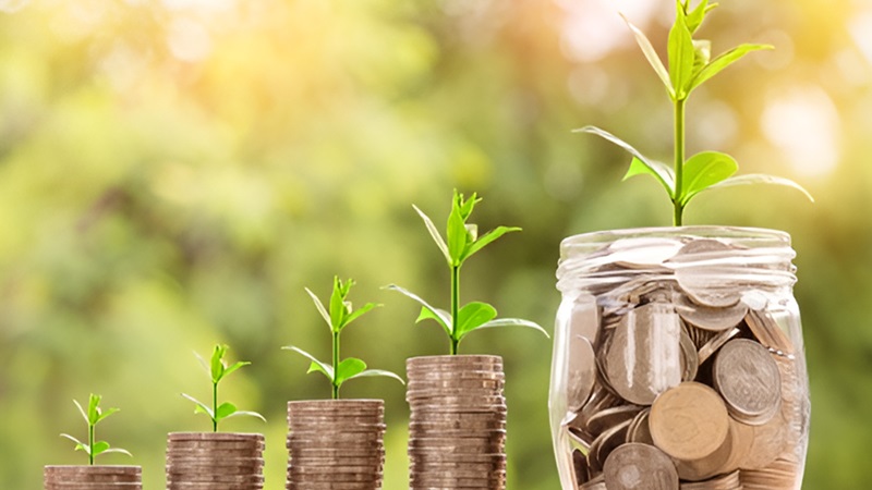 Plants sprouting from coins stacked in growing piles