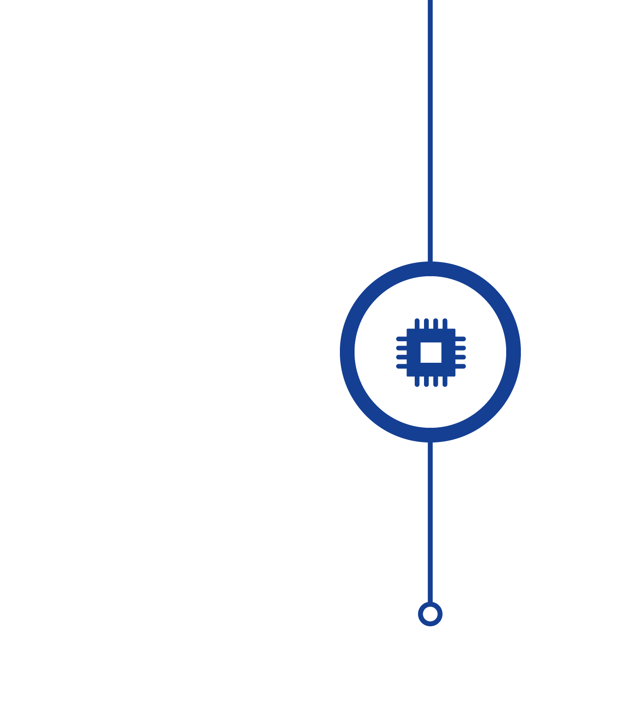 Icon showing a computer chip